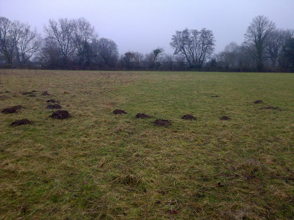Top field, Jan 2015. The area that was cut for hay is to the right of the photo.