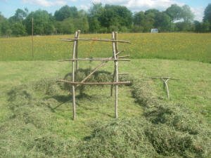 The rack with hay gathered around and loading of the first rail just begun