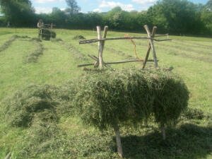 Hay rack built up to the first bar