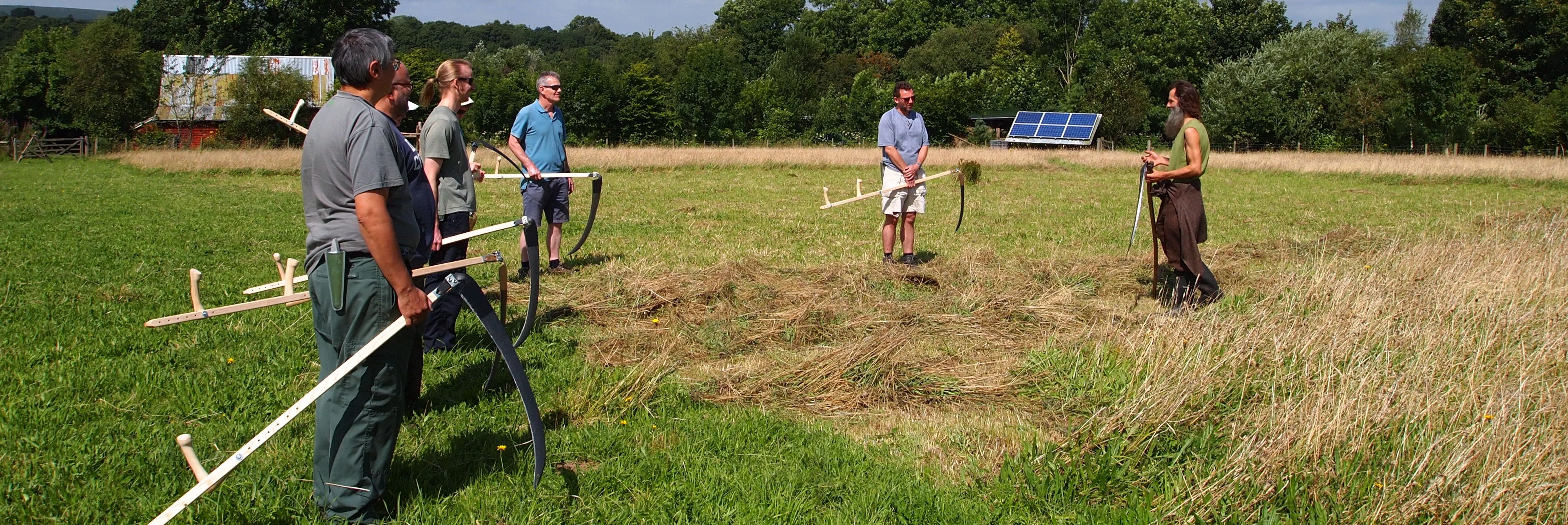 Learning to Scythe in the Hay Meadow