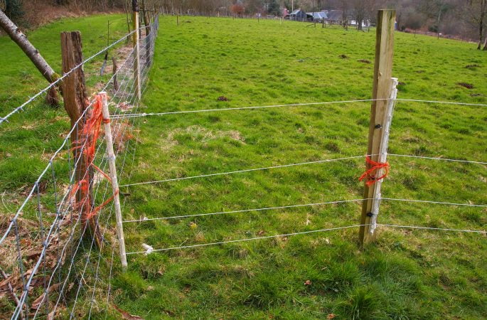 electric fence gate