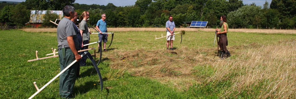 Learning to Scythe in the Hay Meadow