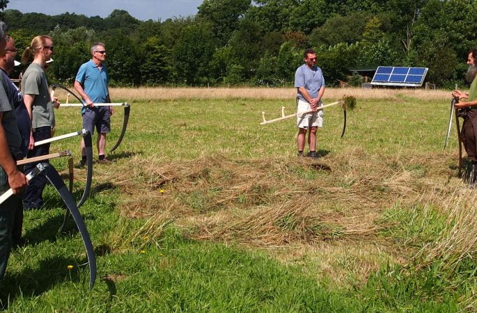 Learning to Scythe in the Hay Meadow