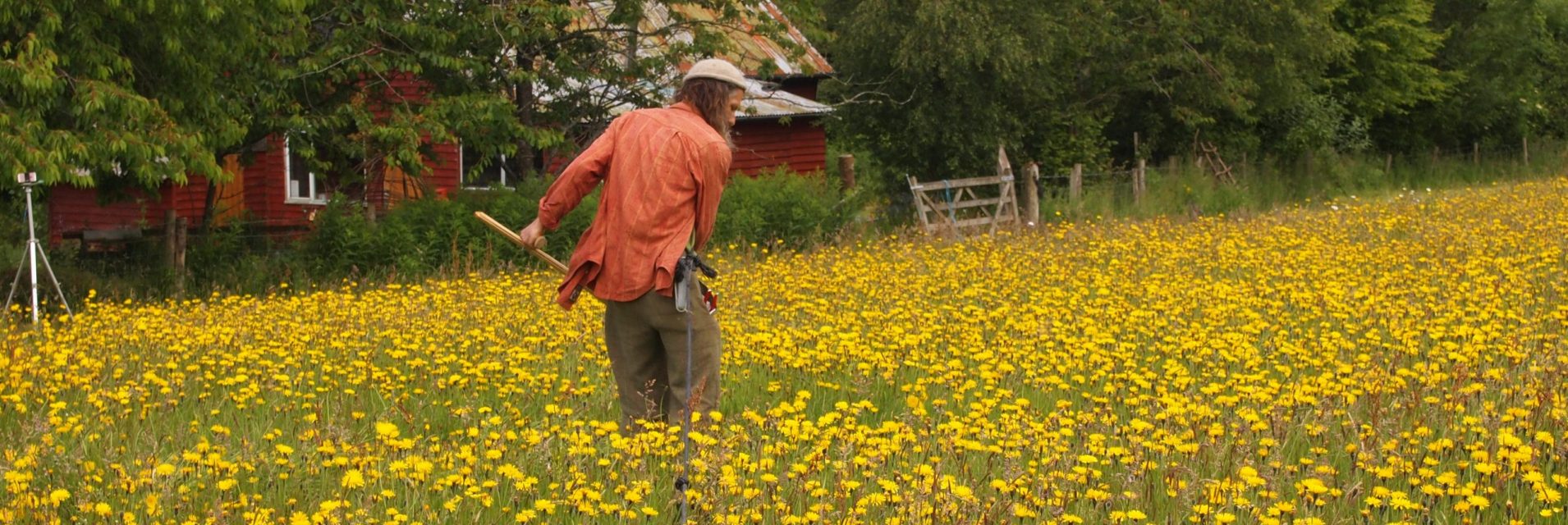 A human compass drawing circles in the meadow